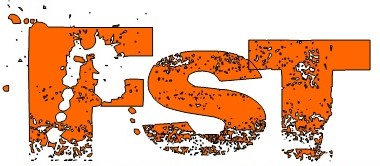 fst motoring logo